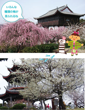 御津自然観察公園・世界の梅公園
