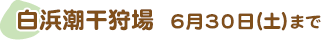 白浜潮干狩場