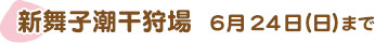 新舞子潮干狩場