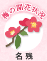 名残