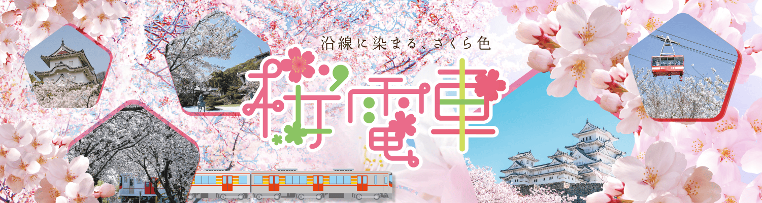 桜電車2025- 沿線に染まる、さくら色