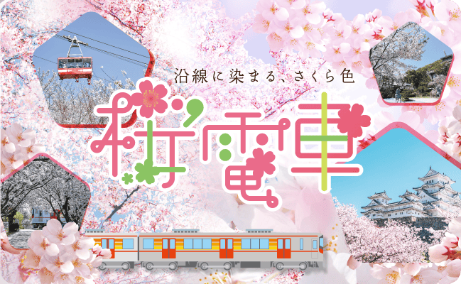 桜電車2025- 沿線に染まる、さくら色