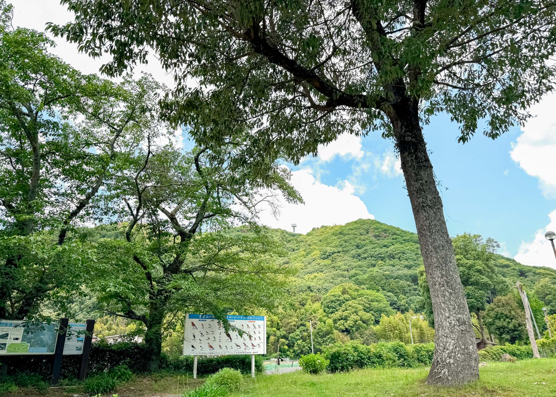書写⼭⼭麓公園