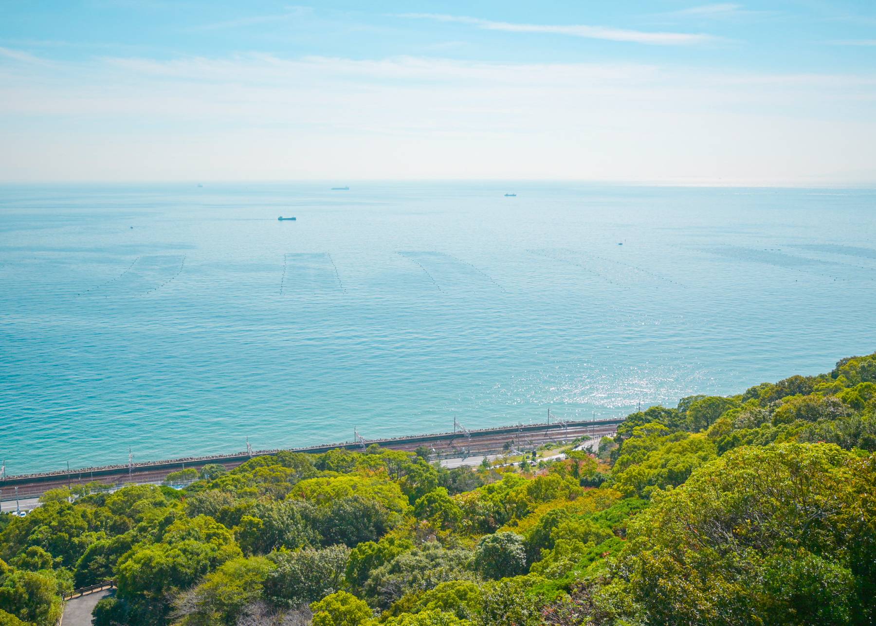 車窓から眺める海の景色の写真