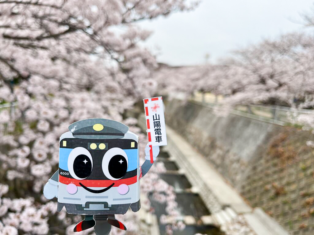 參加「須磨櫻花集章遊」盡享山陽電車沿線春色～挑戰篇～