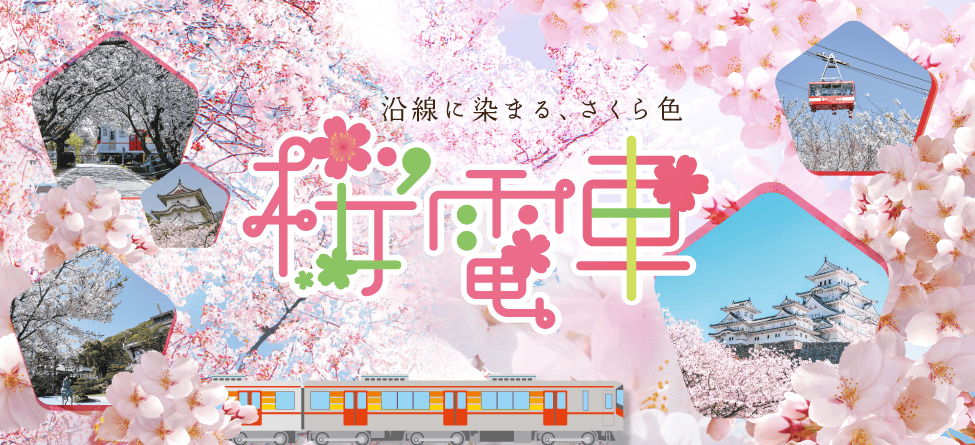 桜電車2025- 沿線に染まる、さくら色
