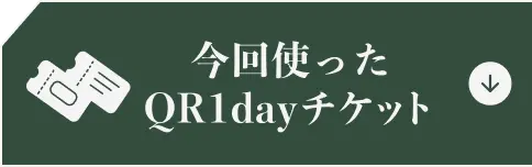 今回使ったQR1dayチケット