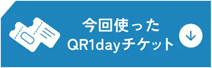今回使った1Dayチケット